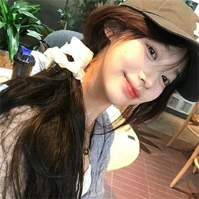 极地熊踪