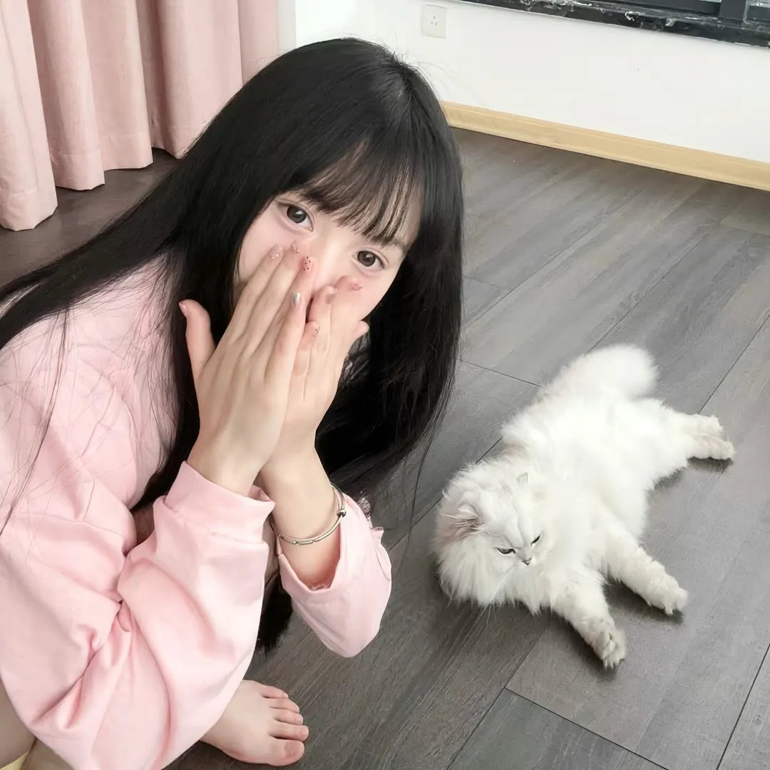 电视剧专区