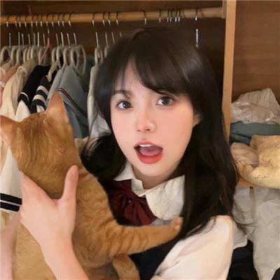 电视剧集专区