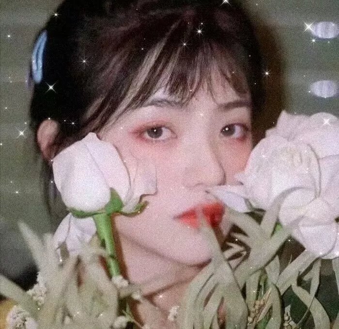 比利时/法国影视